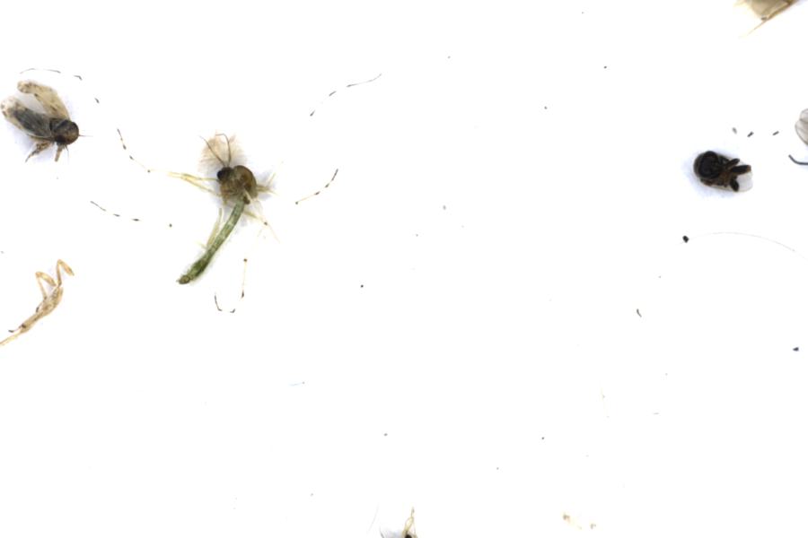 Image 51